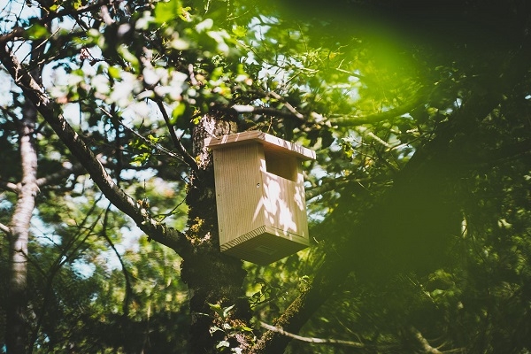 Luchtbed bedrukken - boom_met_nestkast
