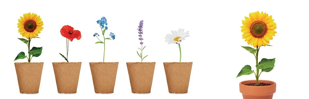 Zeg het met bloemen en planten per post - lp_zeg_het_met_bloemen_en_planten_per_post